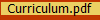 Curriculum.pdf
