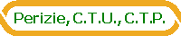 Perizie, C.T.U., C.T.P.